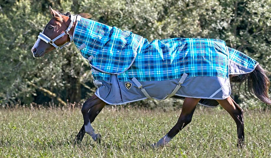 Turbo Aqua Tartan 2_edited.jpg