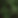 lets budvocate background.png