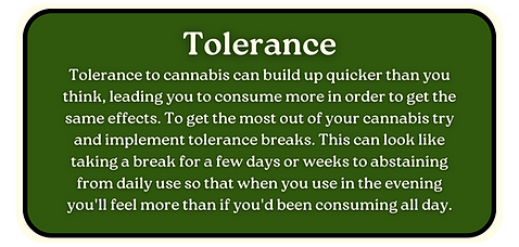 Tolerance
Tolerance to cannabis can build up quicker than you think, leading you to consume more in order to get the same effects. To get the most out of your cannabis try and implement tolerance breaks. This can look like taking a break for a few days or weeks to abstaining from daily use so that when you use in the evening you'll feel more than if you'd been consuming all day.