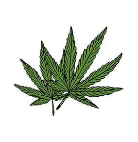 weed leaf