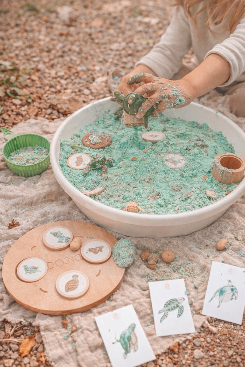 Thumbnail: Turtle Lifecycle Montessori Sensory Set
