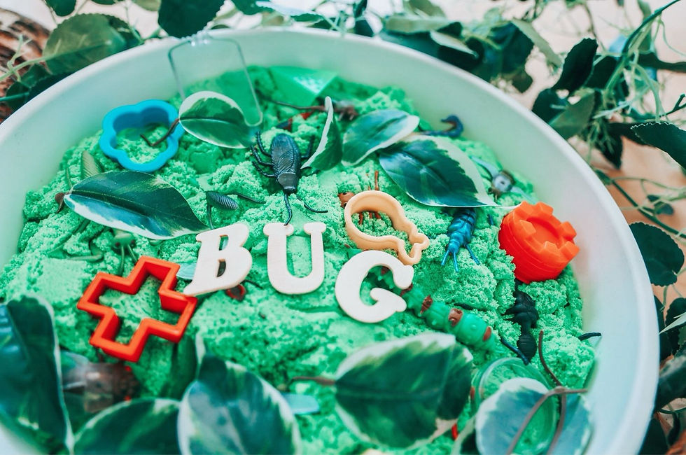 Thumbnail: Bug Hide & Seek- Moonsand Based Sensory Tray & Set
