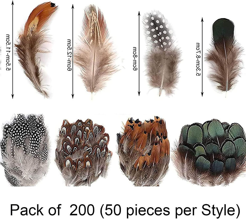 Thumbnail: Fabulous Feather Assortment 4 Styles (200Pcs)