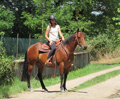 Randier Farm : Desperado Cruzerlynx - Quarter Horse