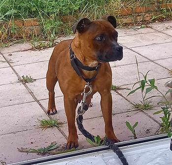 465823402_1264228111526876_3143636660104