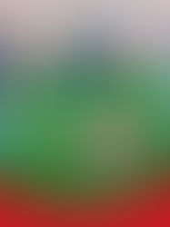 Torte zum bestandenem Führerschein