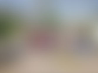 Gemeinschaftsgartenaktion und Auftakt des Baunachmittags