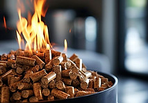 Pellets _ Profitez de l'offre exclusive chez Carrefour pour l'hiver !.jpg