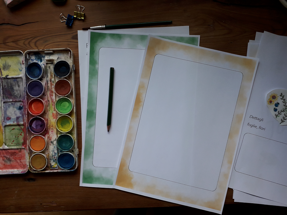 Miniatura: Nature Journal