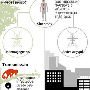 FEBRE AMARELA - Ação de prevenção fecha Horto Florestal e Parque Estadual da Cantareira por tempo in