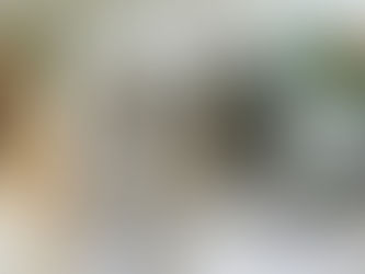 Blütenzarte Elfenessenz und ein Mini Elfengarten 