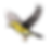 Bird One.png