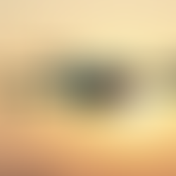 Drone Technology Solutions: Enhancing Energy Production and Surveys