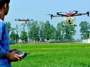AI, Drones, and the Future of Farming: Revolutionizing Plant Disease Detection and Food Security