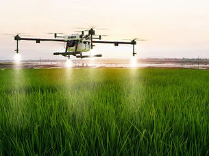 How Precision Agriculture With Drones Is Transforming Modern Farming (2025 Guide)