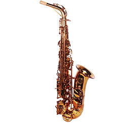 Theo Wanne SHAKTI Alto Saxophone at The Wedge Distribution