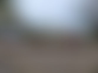 Tag der kleinen Retter