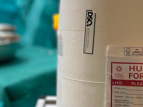 Organspende in der Notfallmedizin?