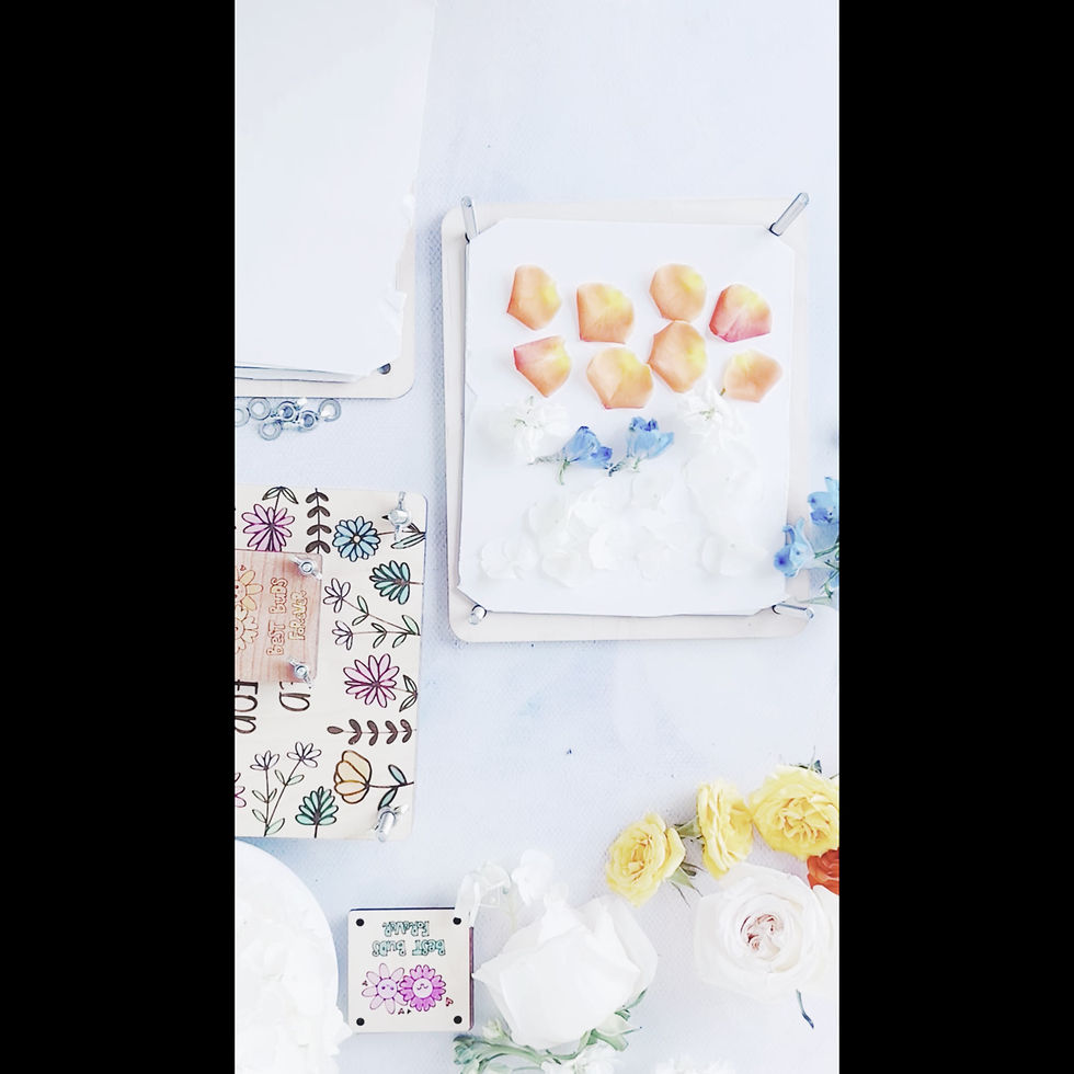 Thumbnail: Hand-Painted Wildflower Wooden Flower Press Kit – Large Botanical Press for Kids