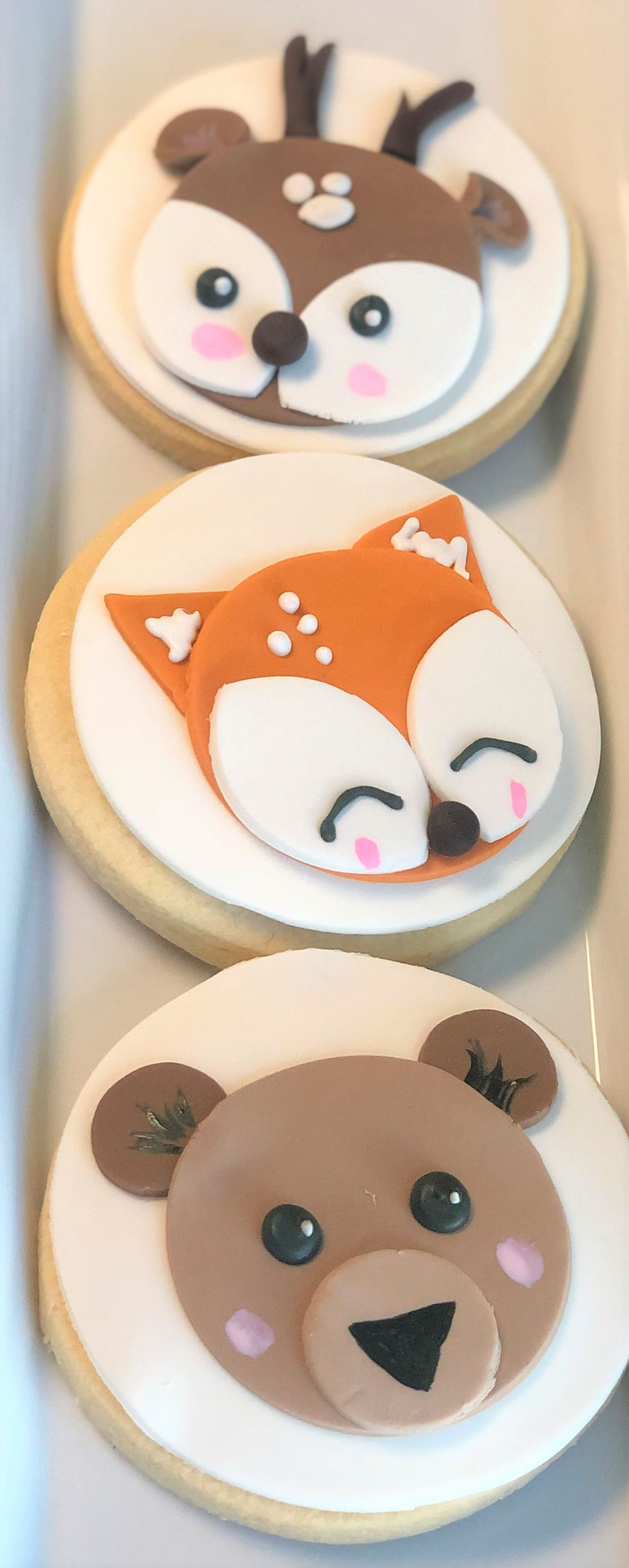 woodland animals