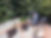 Jardin botanico.jpeg