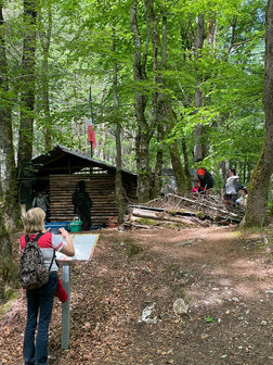 au camp