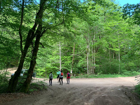 arriver au camp