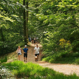 retour par les chemins