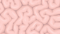 This Week Sale Email Header (Website) (2).png