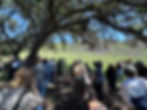 Participants stand under an oak tree and view the burn area in front of them. Frank Davis, Director of the La Kretz Research Center at the Sedgwick Reserve, speaks about the Lake Fire Burn Scar.