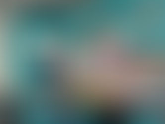 Piloting Sea Level Rise Lessons at the Elementary Institute of Science