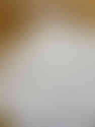 A pile of postcards showing messages from event attendees. The messages say things like "Happy Earth Day! I love you!"