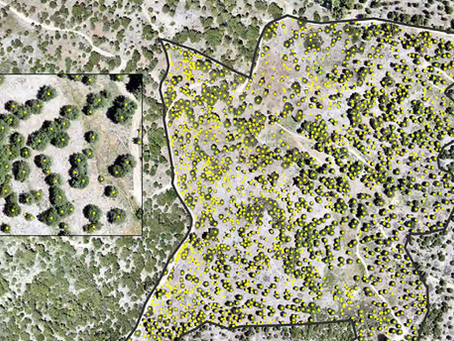 Join Us on April 29th for "Listening to the Forest: Tribal Stewardship & Modern Tools"