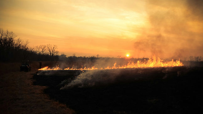 Small prescribed burn against the setting sun.