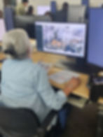 A person sits at a computer using ArcGIS software.