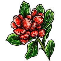5.png