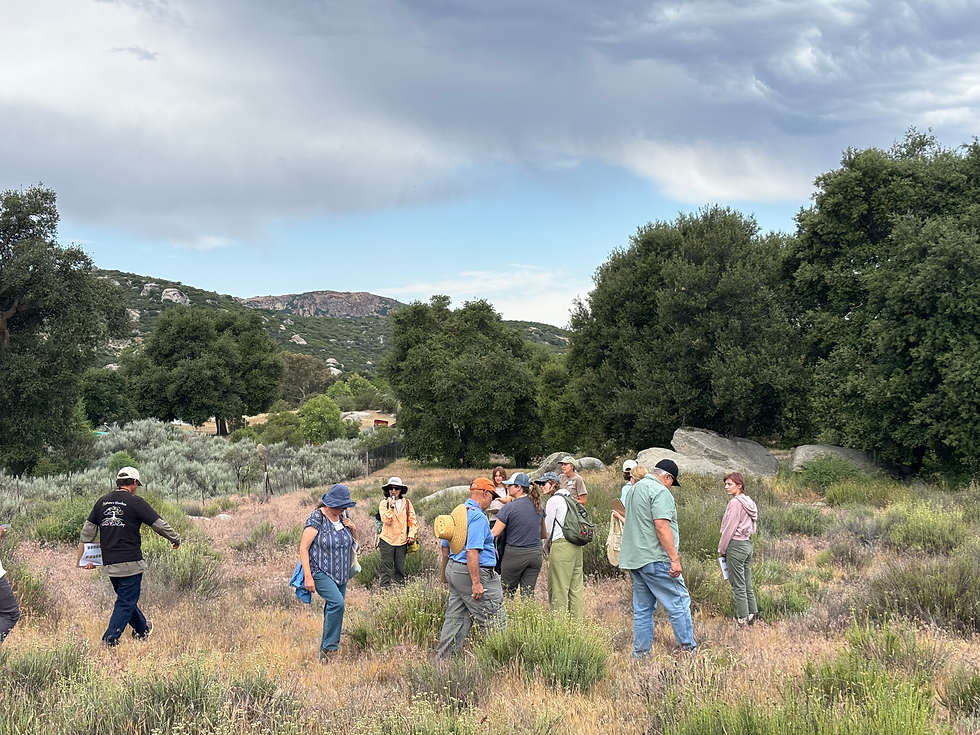 Training attendees walk through a shrubland meadow to circle around and listen to a presenter. Multiple oak trees and a hillside landscape is seen in the background.