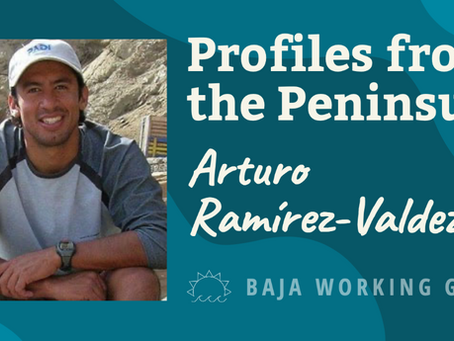 Profiles from the Peninsula: Arturo RamÃrez-Valdez