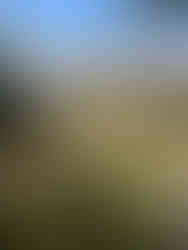 View of Tijuana from COLEF Ecoparque