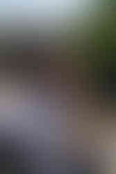 A presenter is seen behind the table, leading the game activity for attendees, next to baskets.