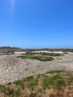 Tijuana River Valley Estuary facing South