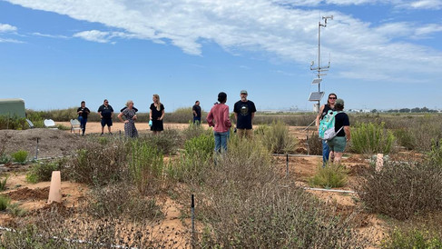 Participants explore the USFWS Restoration site, scattered with native plants.