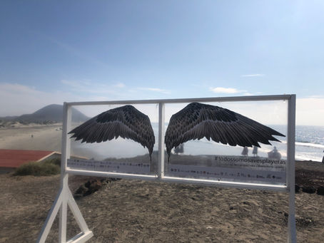 Climate Science Alliance Supports Youth Climate Challenge Participants at 5th Festival de Aves