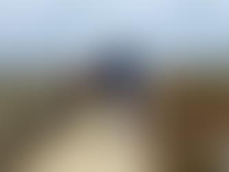 Spending Time on the North County Coastline — Alliance Team Meets with Partners