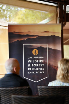 Pop-up banner with the Task Force logo in front of seated attendees.