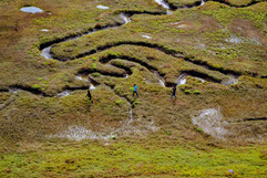 Explorando la vida (Exploring life)