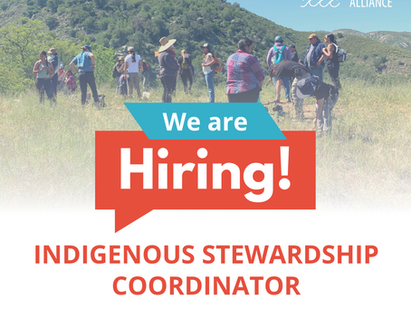 Now Accepting Applications for the Indigenous Stewardship Coordinator Position