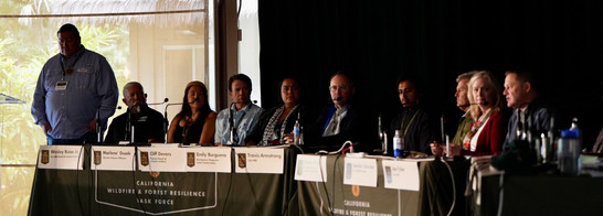 The afternoon panelists sit behind multiple tables on the stage, facing one of the panelists who is speaking to the attendees.