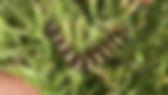 Image-empty-state.png
