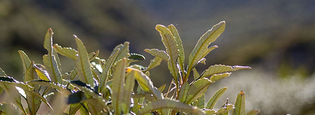 4J5A7158.jpg